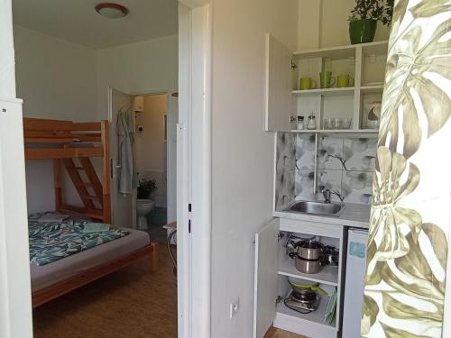 a small kitchen with a sink in a room at Afrodita in Štúrovo