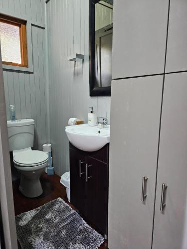 a bathroom with a sink and a toilet at Whispering Creek Mountain Lodge in Magoebaskloof