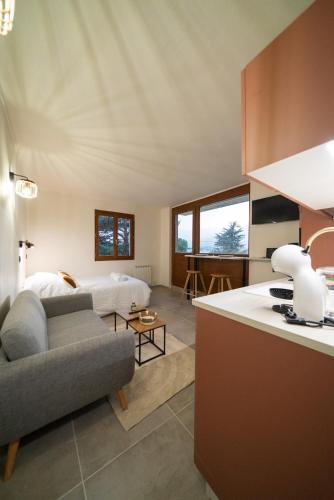 Il comprend une cuisine et un salon avec un canapé et un lit. dans l'établissement Studio Conflans by ExplorHome - Albertville, à Albertville