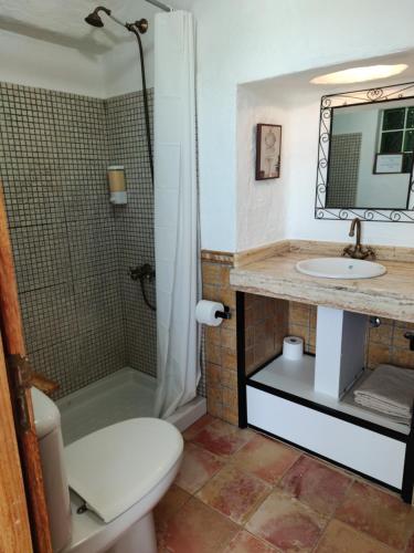 een badkamer met een toilet, een wastafel en een douche bij Casa Cueva Ca Maruca in Gáldar