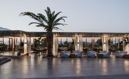 a hotel patio with a palm tree and chairs at Golden Star Relax Hotel - Adults Only 16 plus in Tigaki