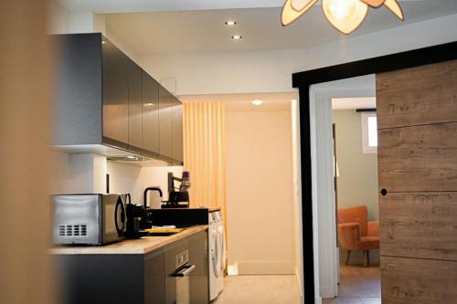 une cuisine avec un comptoir avec un micro-ondes dans l'établissement Le Tulum Spa - Jacuzzi & Sauna, à Rouen