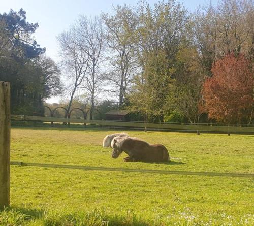 La campagne proche de l Océan