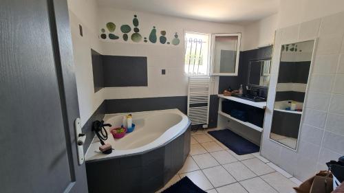 La salle de bains est pourvue d'une grande baignoire et d'un lavabo. dans l'établissement Chambre Nîmes, à Nîmes