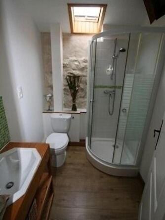 une salle de bain avec une douche, des toilettes et un lavabo dans l'établissement Teyssie Cottage, à Pailloles
