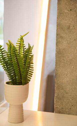a green plant in a white vase on a table at SKIA luxury living above the walls in Thessaloniki