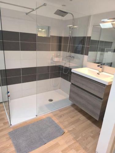 une salle de bain avec douche et lavabo dans l'établissement chez Julien, à Chavot-Courcourt