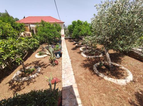 a garden with a row of trees and plants at Villa Mitsi Sarande in Sarandë