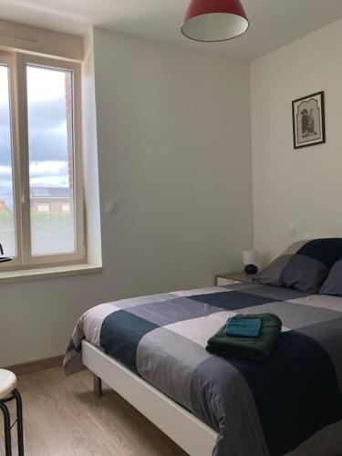 a bedroom with a large bed and a window at Appartement Broceliande in Saint-Malon-sur-Mel