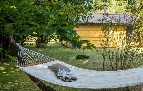 a hammock in a yard with a house at 3 Bedroom Gorgeous Home In Jægerspris in Jægerspris