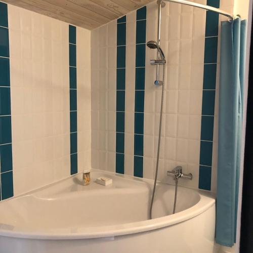 une salle de bain avec baignoire et douche dans l'établissement L'Erable, à Beaussais