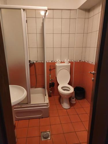 Koupelna v ubytování Apartment Joco