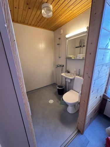 a bathroom with a toilet and a sink at Pappilan Väentupa - Pappila Quest House in Pudasjärvi