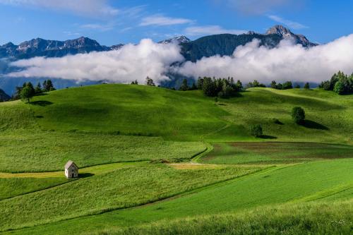 a green field with a barn on a hill with mountains at Stroblhof in Vipiteno
