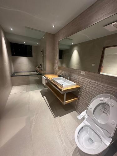 a bathroom with a white toilet and a sink at 全村的希望Hope of village in Dongshan