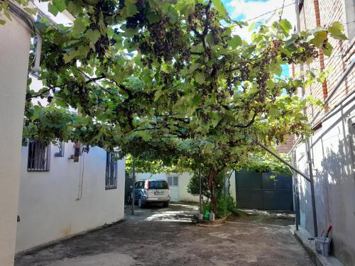 a tree in a parking lot between two buildings at Дом где есть всё удобства 2 in Khashuri
