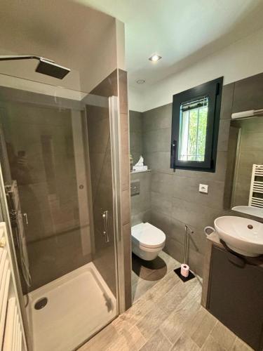 une salle de bain avec une douche, des toilettes et un lavabo dans l'établissement Studio Terrasse Privée Jardin Air conditionné, à Aix-en-Provence