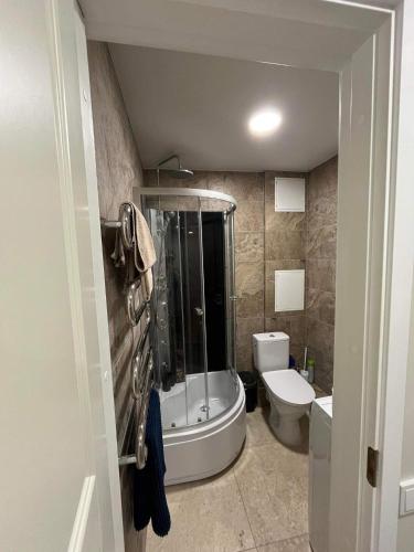a bathroom with a bath tub and a toilet at Apartamentai prie Zakso kalno in Telšiai
