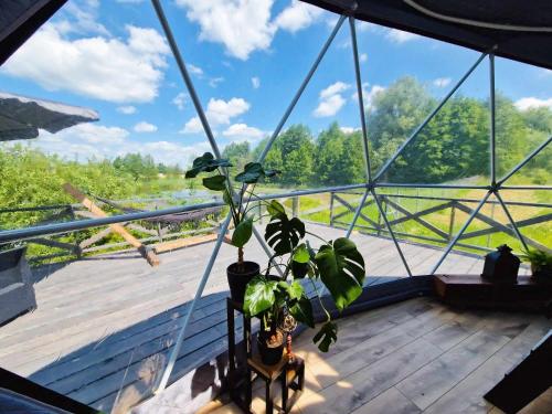 a room with a potted plant on a deck at Namiot glampingowy Loft in Krzesimów