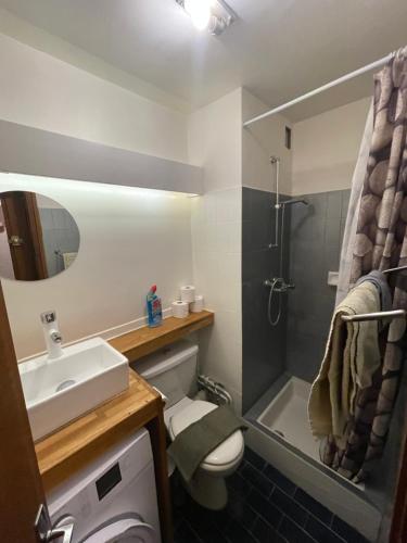 une salle de bain avec toilettes, lavabo et douche dans l'établissement Studio 1 personne Hedi 4, à Megève