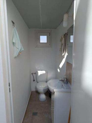 a small bathroom with a toilet and a sink at To stegadaki - Traditional Cycladic Mansion in Ano Syros