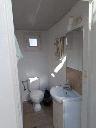 a small bathroom with a toilet and a sink at To stegadaki - Traditional Cycladic Mansion in Ano Syros