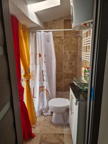 a bathroom with a toilet and a shower curtain at Galamus Bonheur - Quand tu veux t'échapper de chez toi ! in Saint-Paul-de-Fenouillet