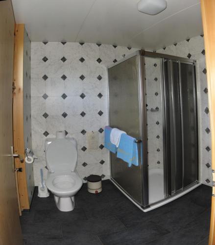a bathroom with a toilet and a shower at Hotel Garni Traube B&B in Schwellbrunn