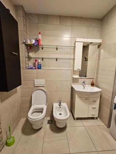 Ένα μπάνιο στο Luxurios Apartment Sarajevo