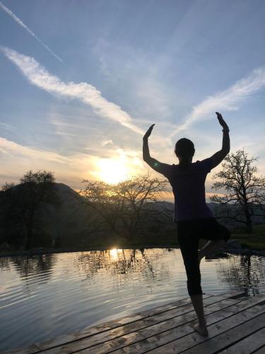 a person jumping in the air near a body of water at Loftartige Wohnung in Scheibbs mit Schwimmteich in Scheibbs