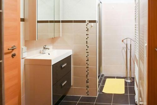 Bilik mandi di Loftartige Wohnung in Scheibbs mit Schwimmteich
