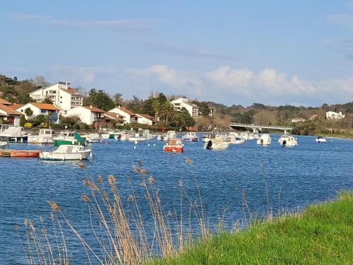 studio résidence du golf et Nivelle