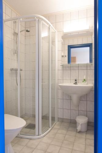 a bathroom with a shower and a sink at Havly Bed & Breakfast in Hauge