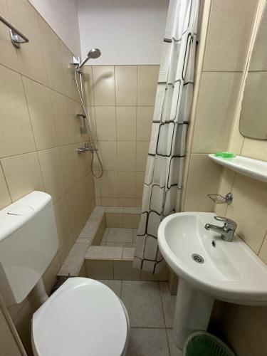 Ένα μπάνιο στο Casa Rustic cazare
