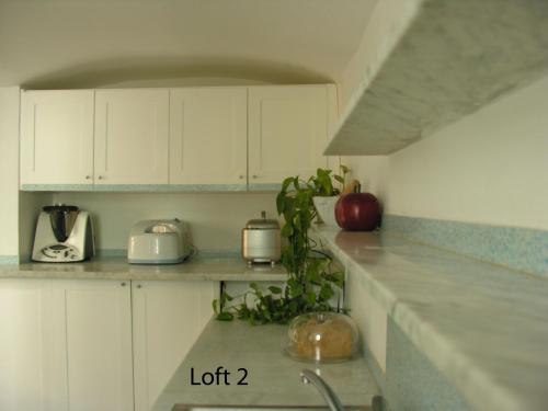 uma cozinha com armários brancos e uma planta no balcão em Loft In San Lorenzo 1 & 2 em Gênova