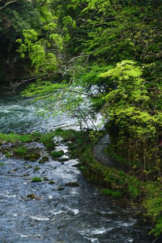 a stream of water with a path in the middle at Shirasagiyu Tawaraya in Kaga