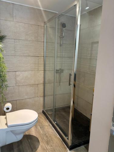 une cabine de douche dans une salle de bain avec toilettes dans l'établissement Studio au cœur du vieux village, à Vitrolles