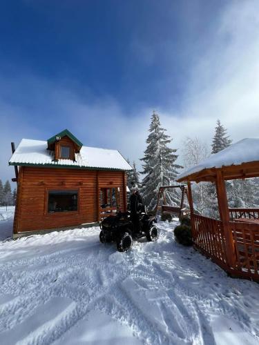 Gallery image of Vikendica Davidović in Berane