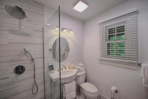 a bathroom with a toilet and a sink and a shower at Historic Tapoco Lodge Resort in Tapoco