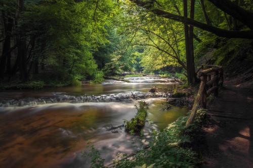 a river in the middle of a forest at Chata w Leśnych Pieleszach - sauna & balia z jacuzzi na wyłączność in Łukawica