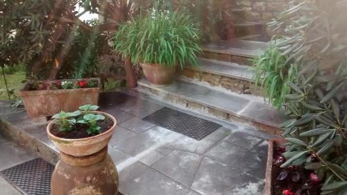 Κήπος έξω από το Casa Furrer