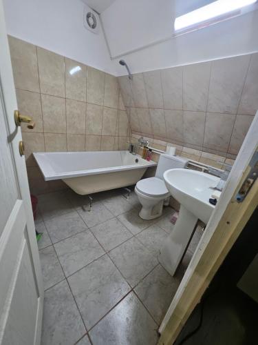 une salle de bain avec une baignoire, des toilettes et un lavabo dans l'établissement Cabană la LERI, à Icloda