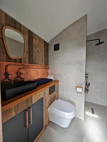 a bathroom with a toilet and a sink and a mirror at Otter Burn Cabin in Oban