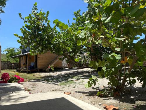 a yard with trees and a house in the background at Buen Hombre Kite School with Accommodations in La Costa de Buen Hombre