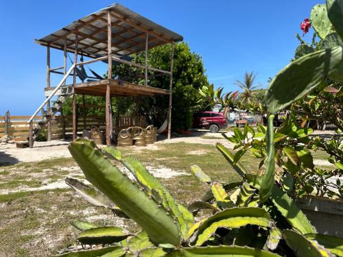 a building with a wooden structure in a yard at Buen Hombre Kite School with Accommodations in La Costa de Buen Hombre