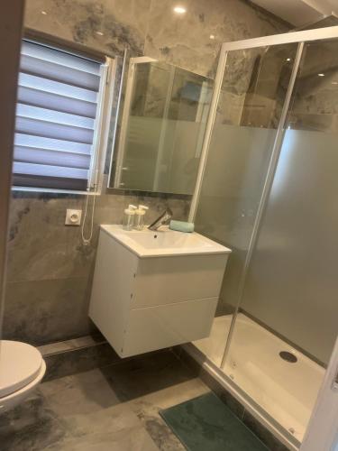 une salle de bain avec un lavabo, une douche et des toilettes dans l'établissement Studio, vu latéral mer, à La Grande Motte