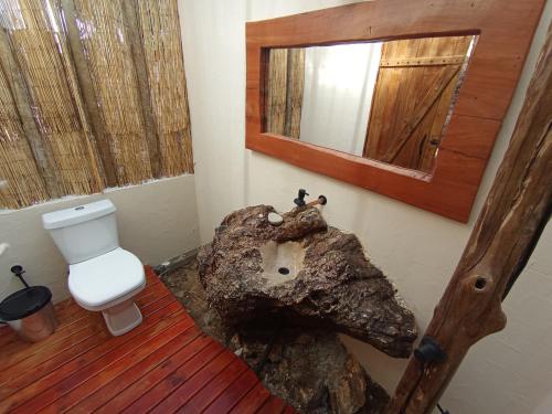 a bathroom with a rock sink and a toilet at Vila Abaton in Alto Paraíso de Goiás