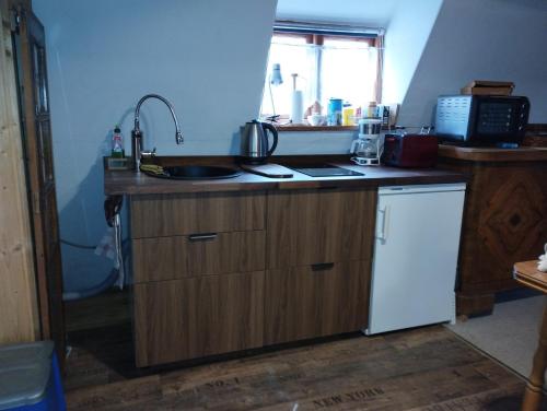 een keuken met een spoelbak en een aanrechtblad bij Augustinern 26 in Quedlinburg