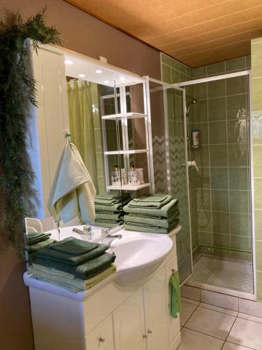 un baño con lavabo y ducha en les trois monts, en Sère-Lanso
