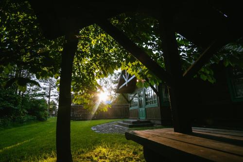 a view from the porch of a house with the sun shining through the trees at Chata w Leśnych Pieleszach - sauna & balia z jacuzzi na wyłączność in Łukawica